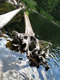 Talapus Lake adjusted