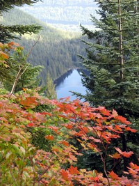 Talapus Lake from Pratt Mountain trail
