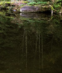 Taylor Mountain pond