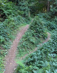 The Trail Less Traveled