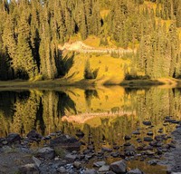 Tipsoo Lake looks back on photographers