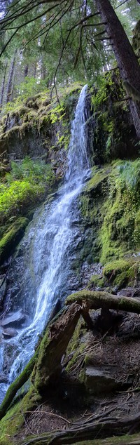 Upper Copper Creek Falls