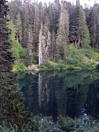Wagonwheel Lake
