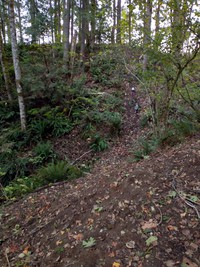 Zoey and Olive climbing a hill