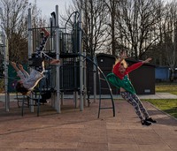 Zoey and Olive off and on swings