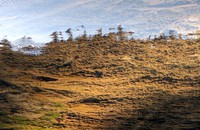 a vista to reflect on