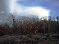 along 395 in california