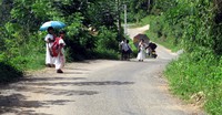 along a Sri Lanka road