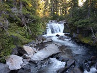 along a trail between a road