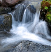 alpine White River up close