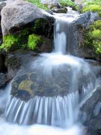 alpine White River up close