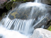alpine White River up close