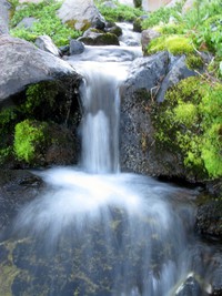 alpine White River up close