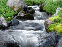 alpine White River up close