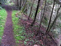 back on the squak mountain trail