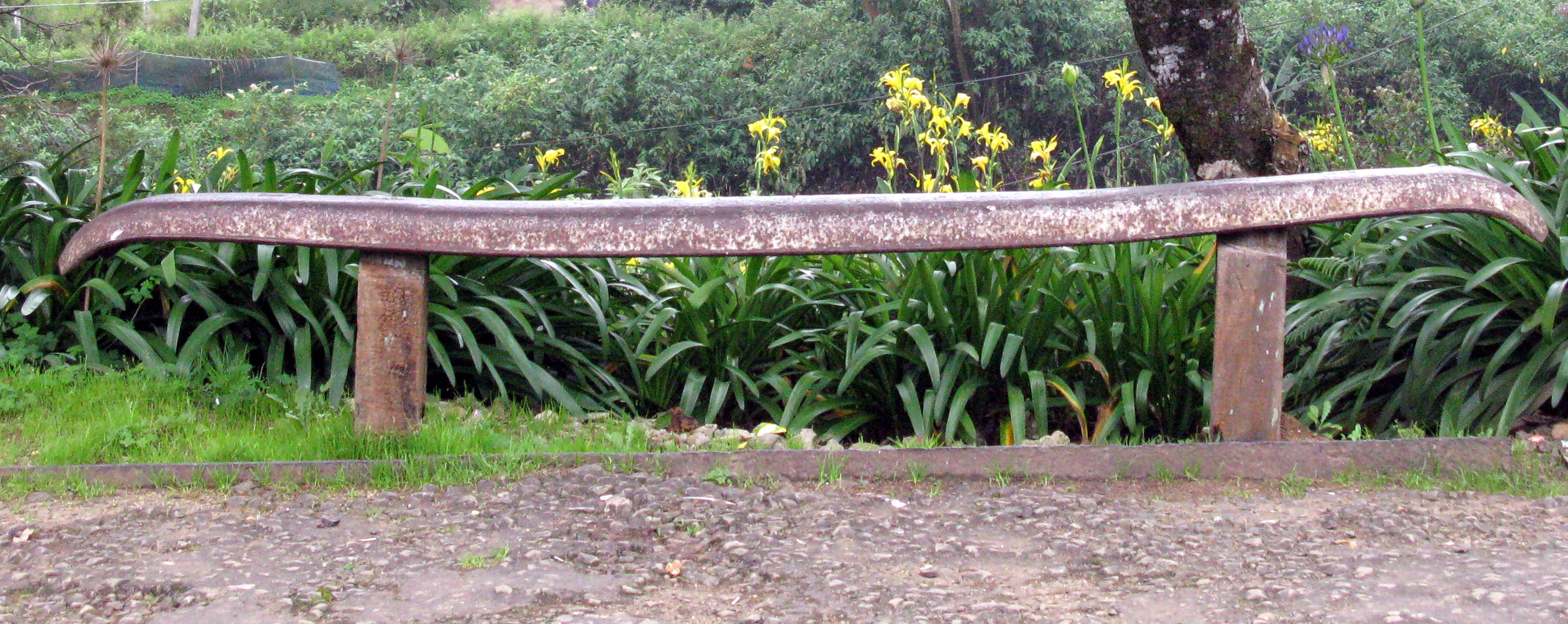 Ambewela station bench
