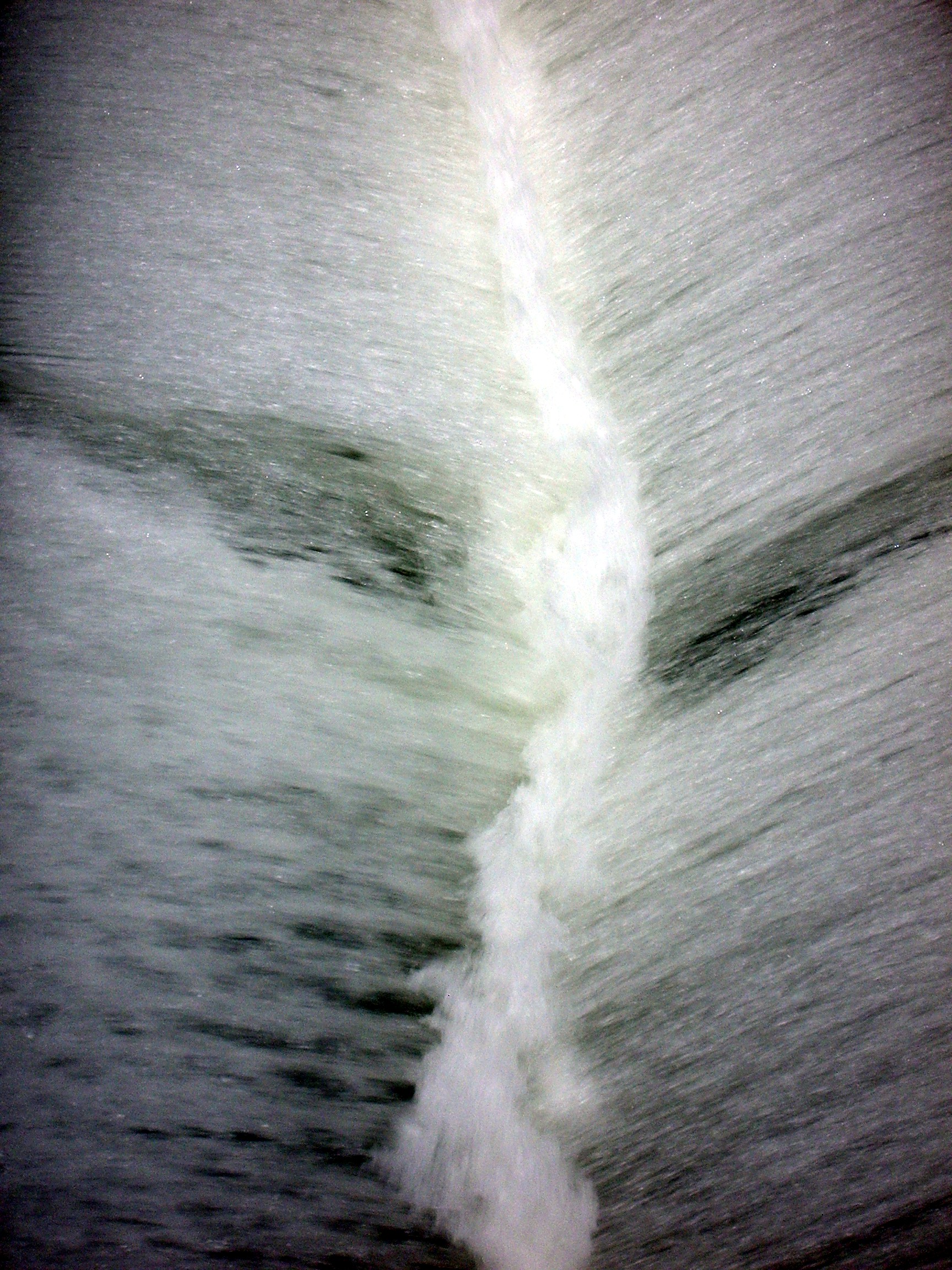 Ballard Locks water