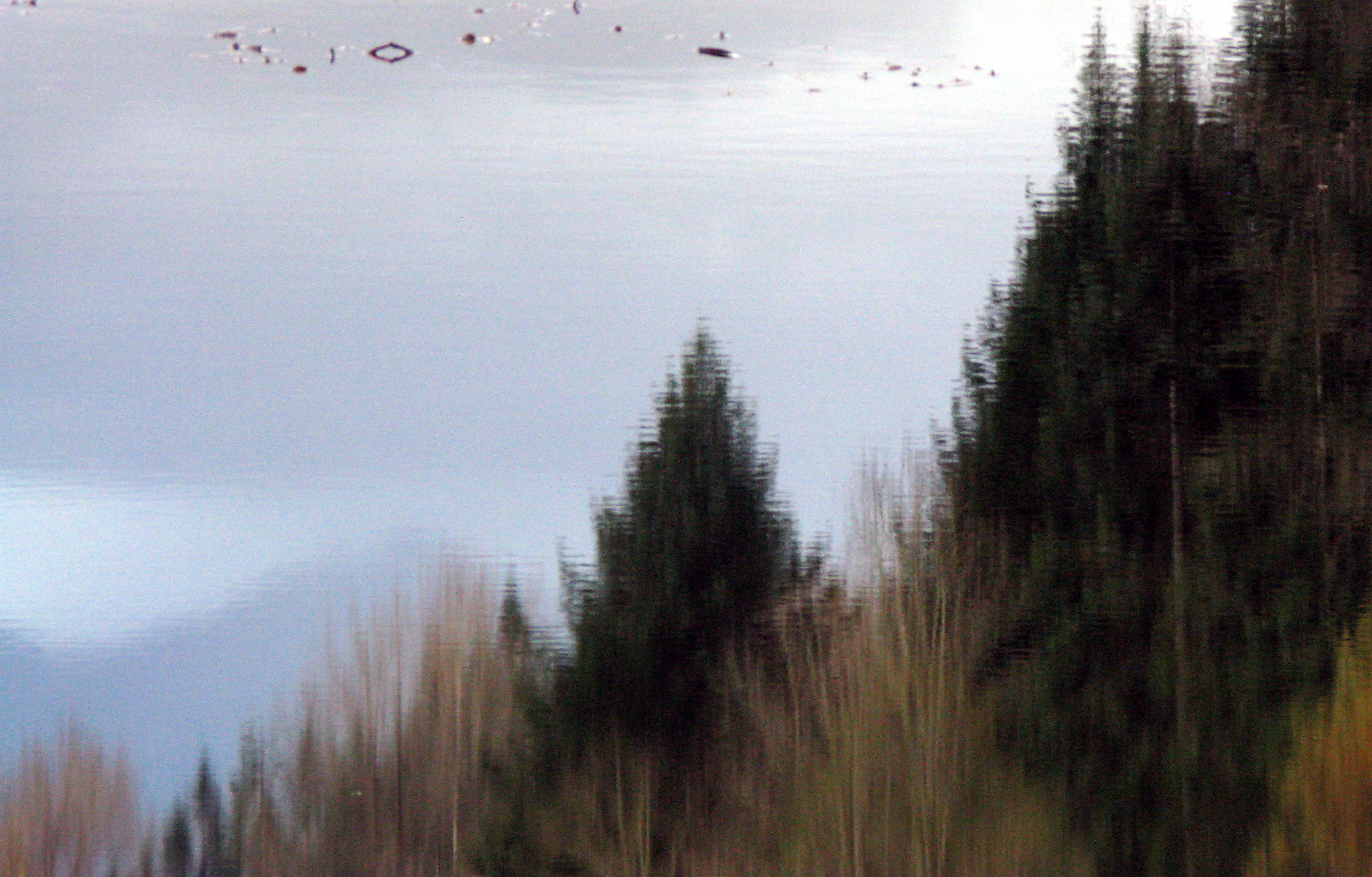 Borst Lake reflection