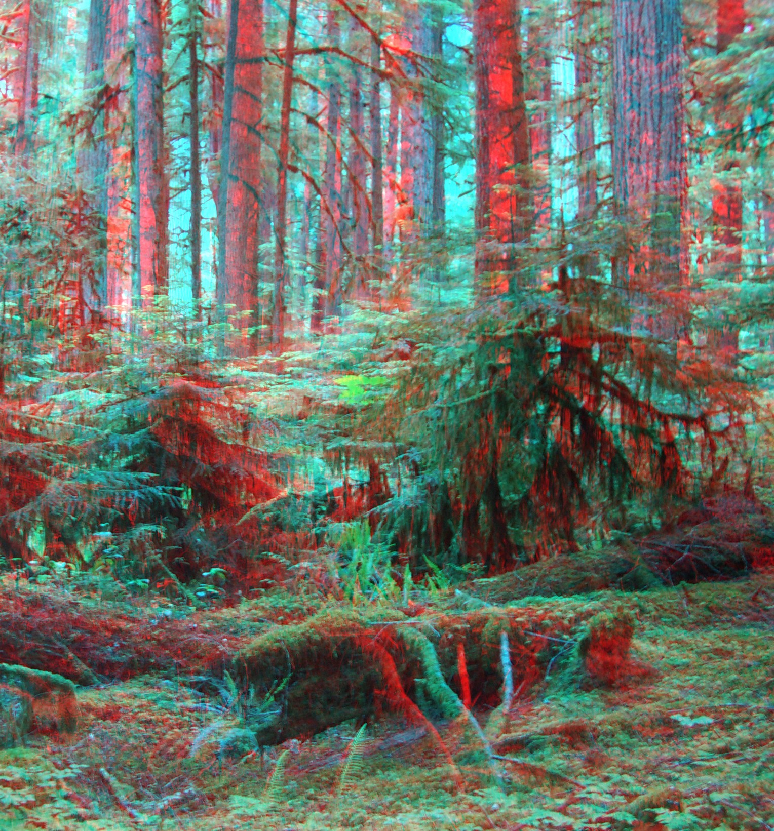 Ipsut Creek Road stereo