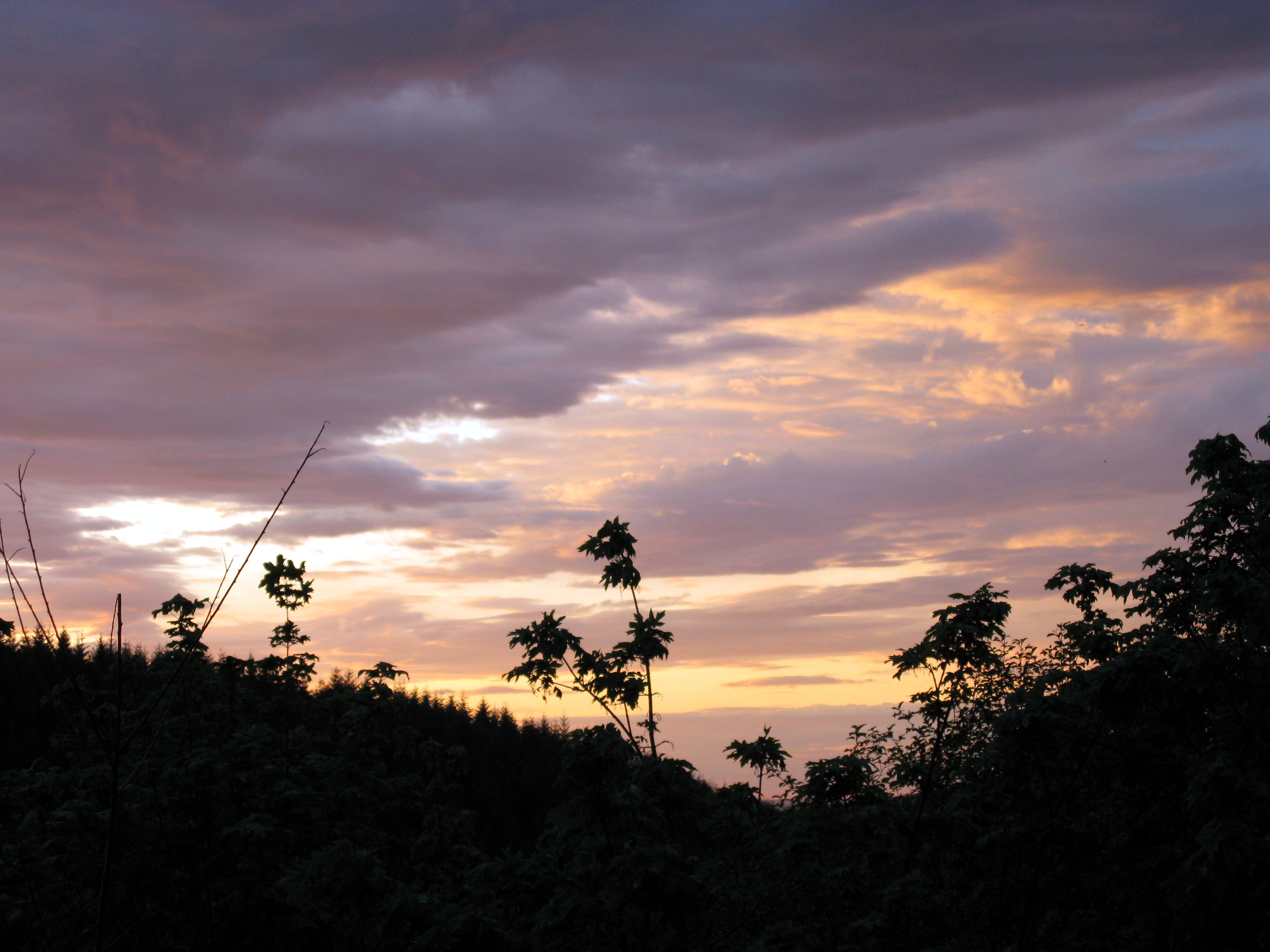 Iron Horse trail sunset