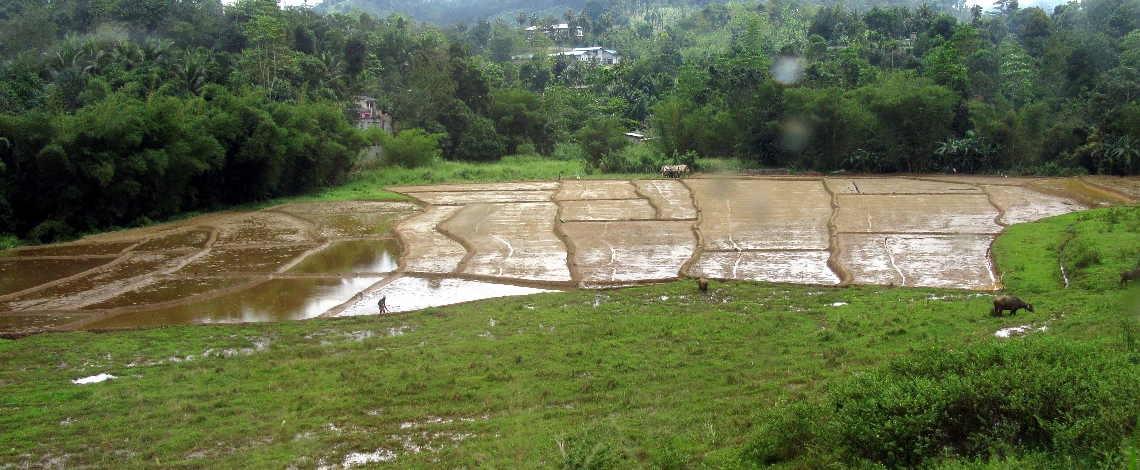 Kandy to Hatton train