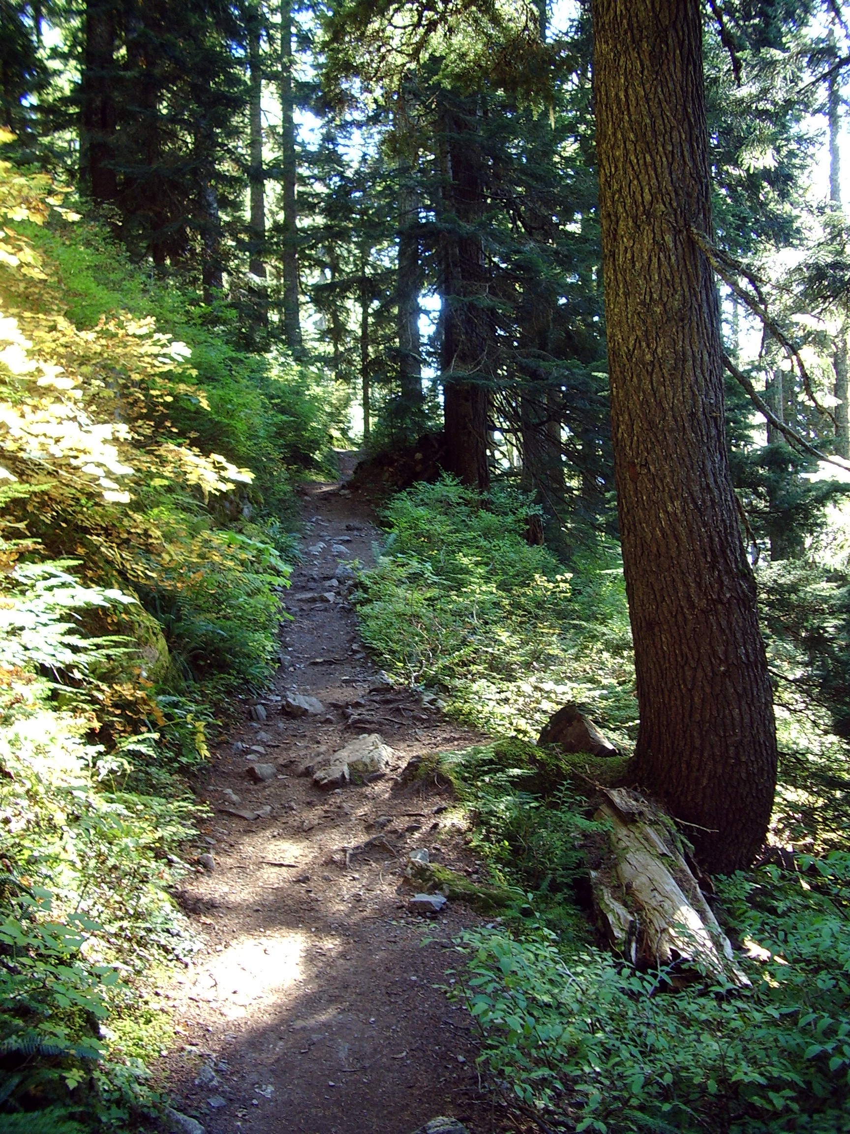 Kendall Katwalk trail September