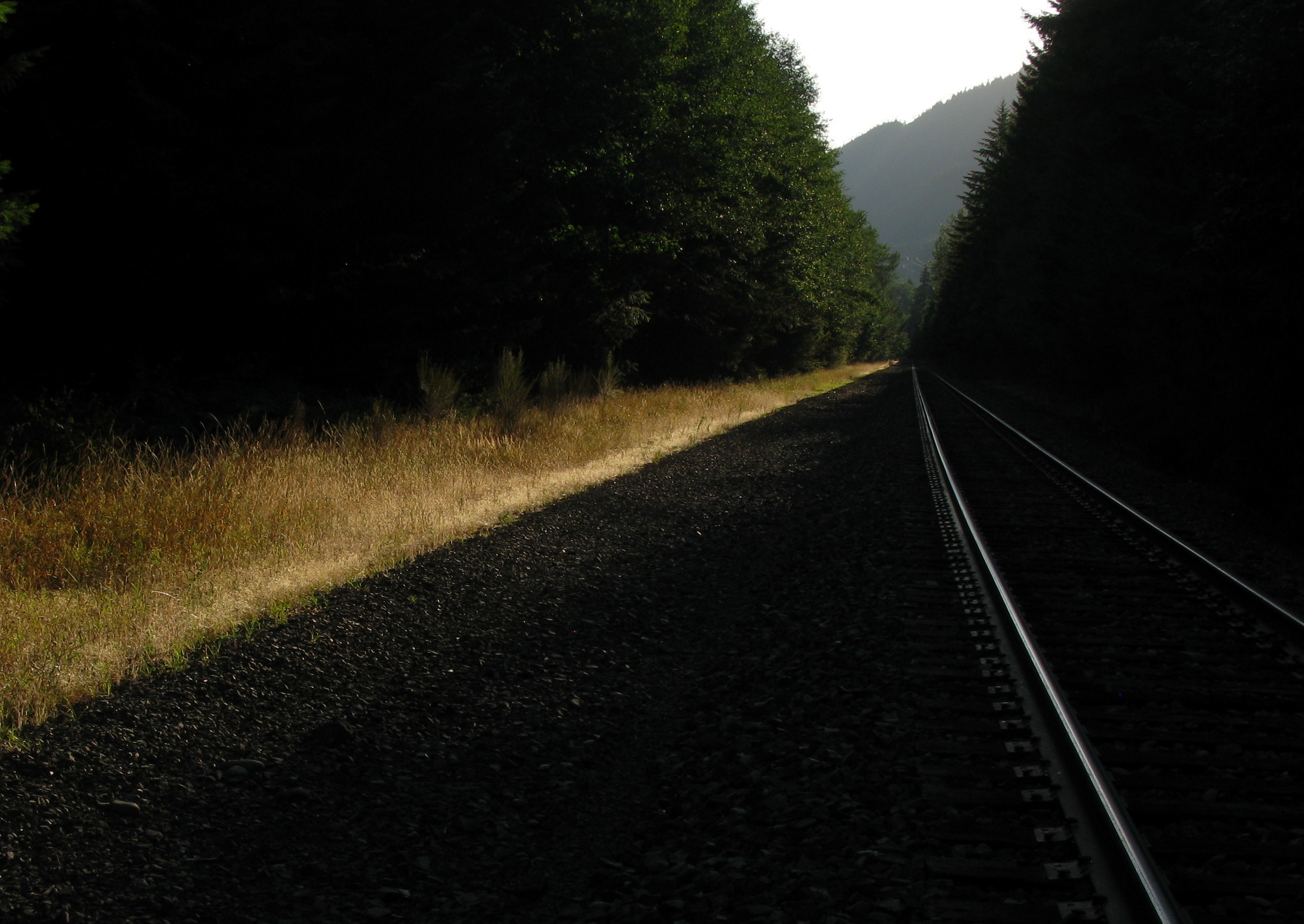 Lester rails at dusk