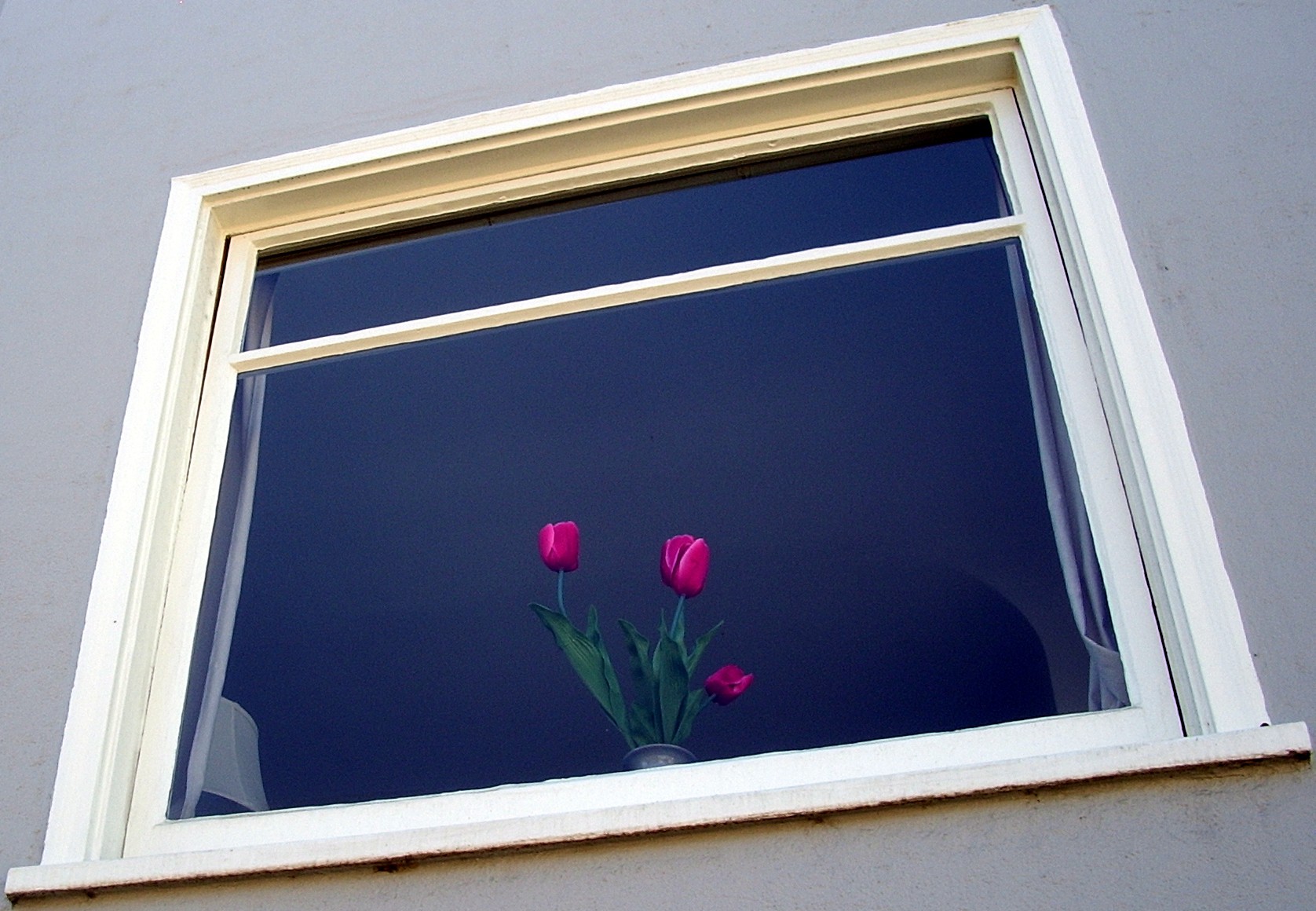 Lobard Street window flowers