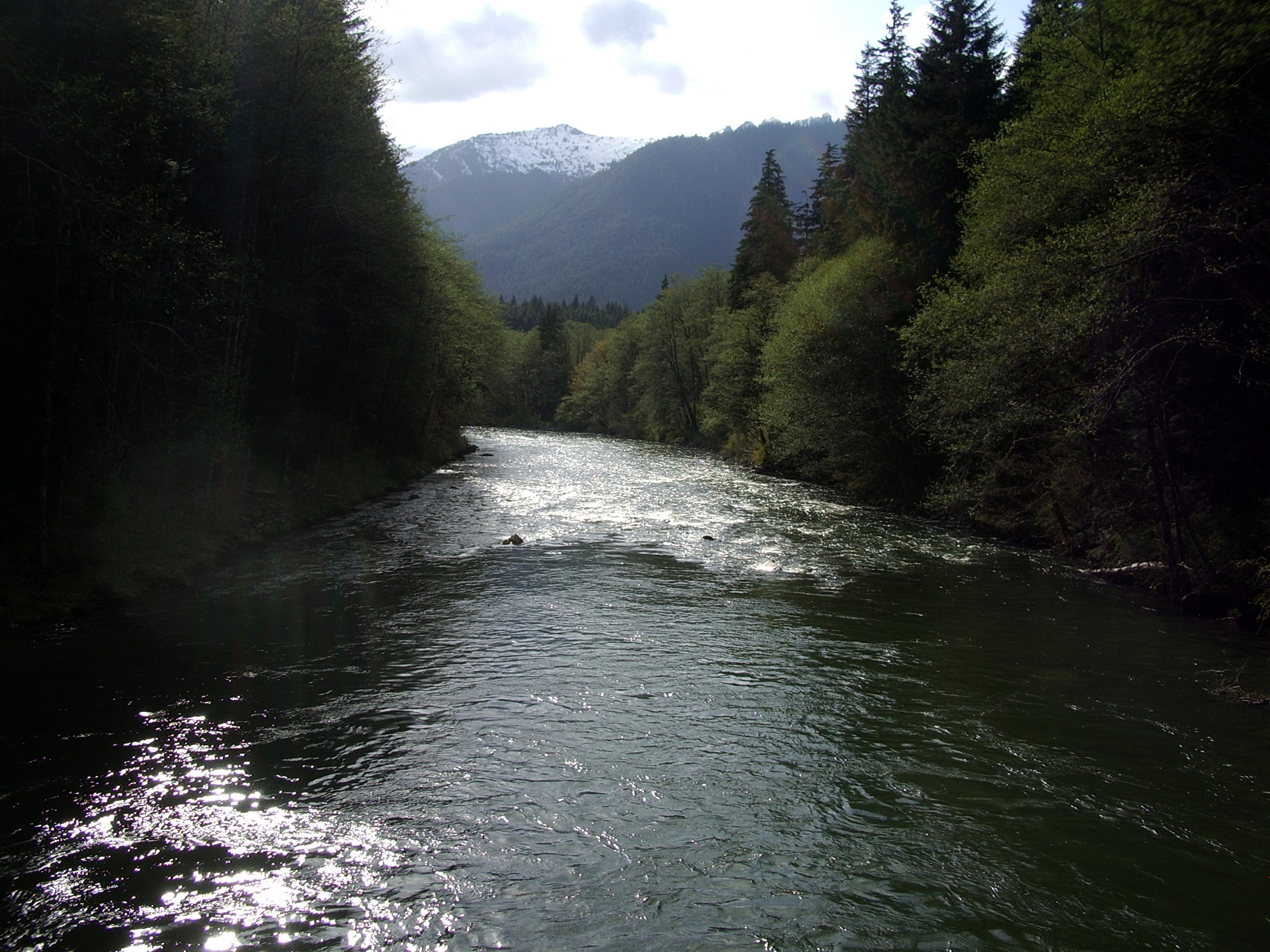 Middle Fork Snoqualmie from bridge