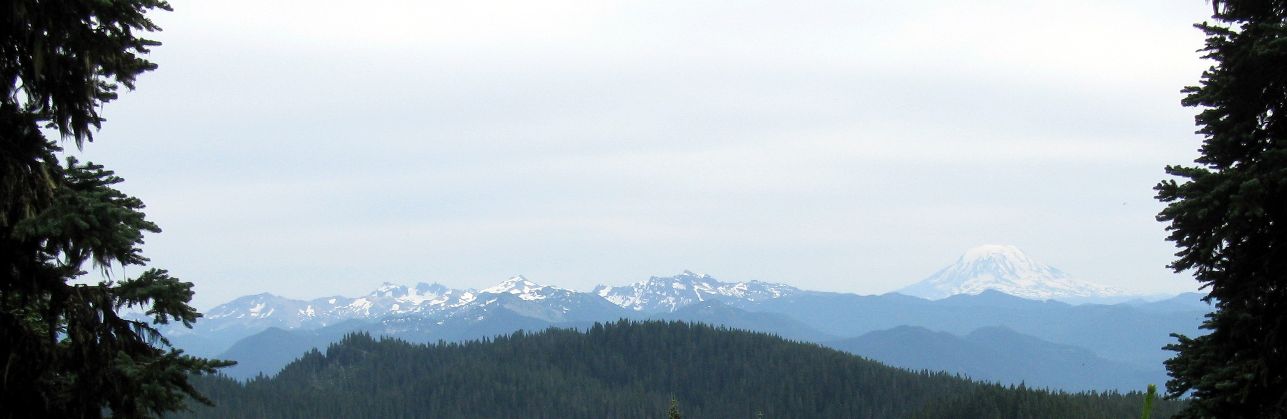 Mount Adams from Cowlitz Divide