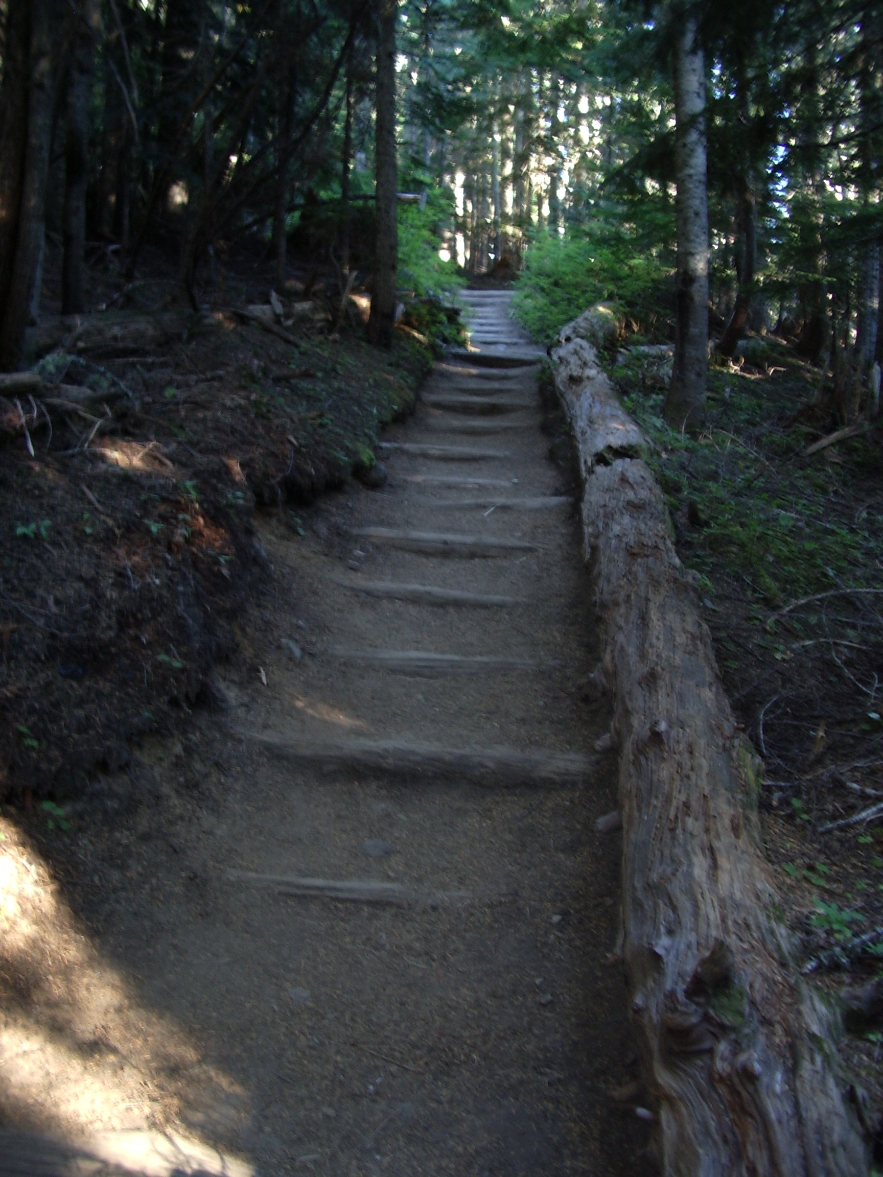 Mowich Lake to Spray Park Trail August