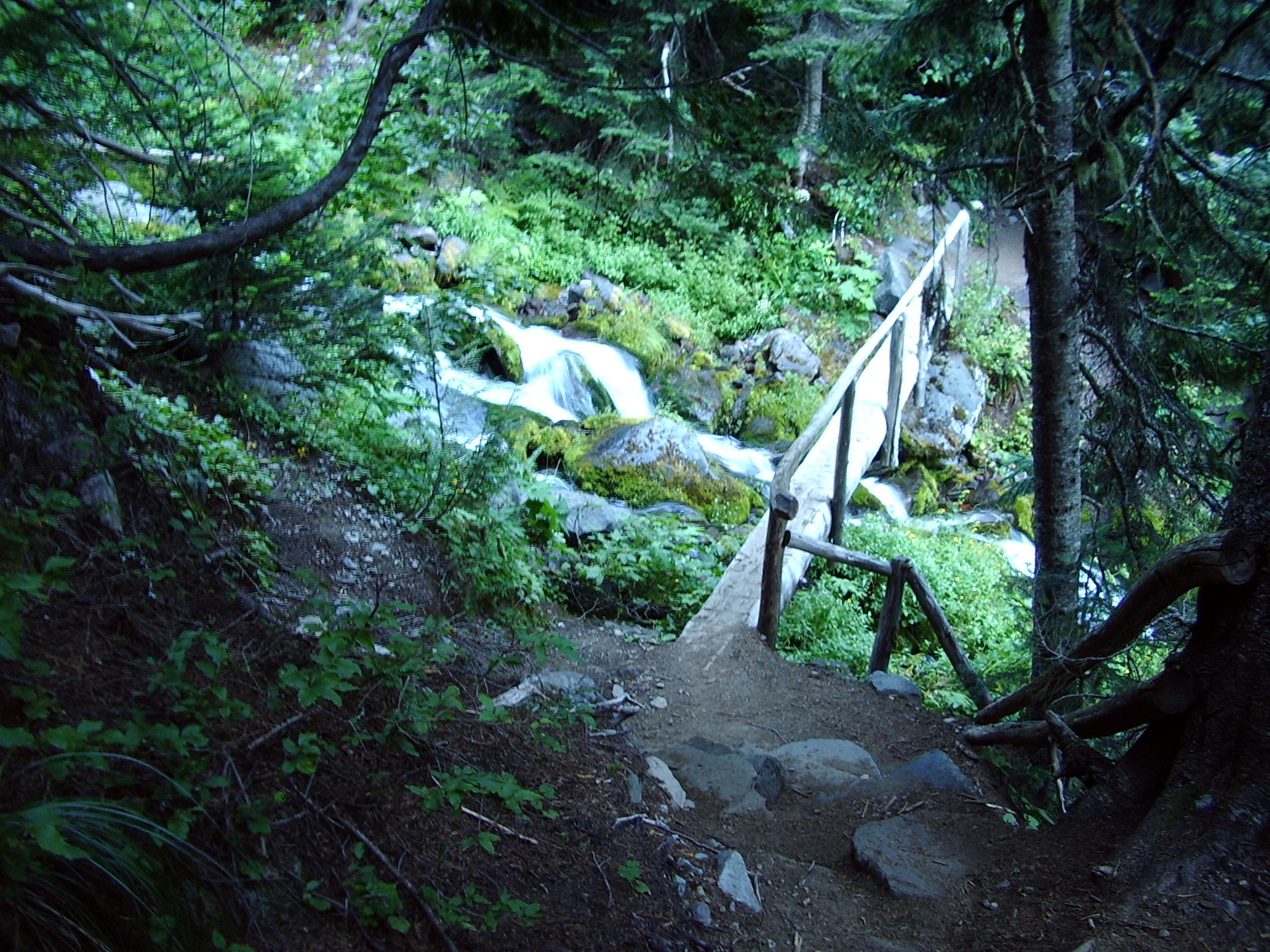 Mowich Lake to Spray Park Trail August