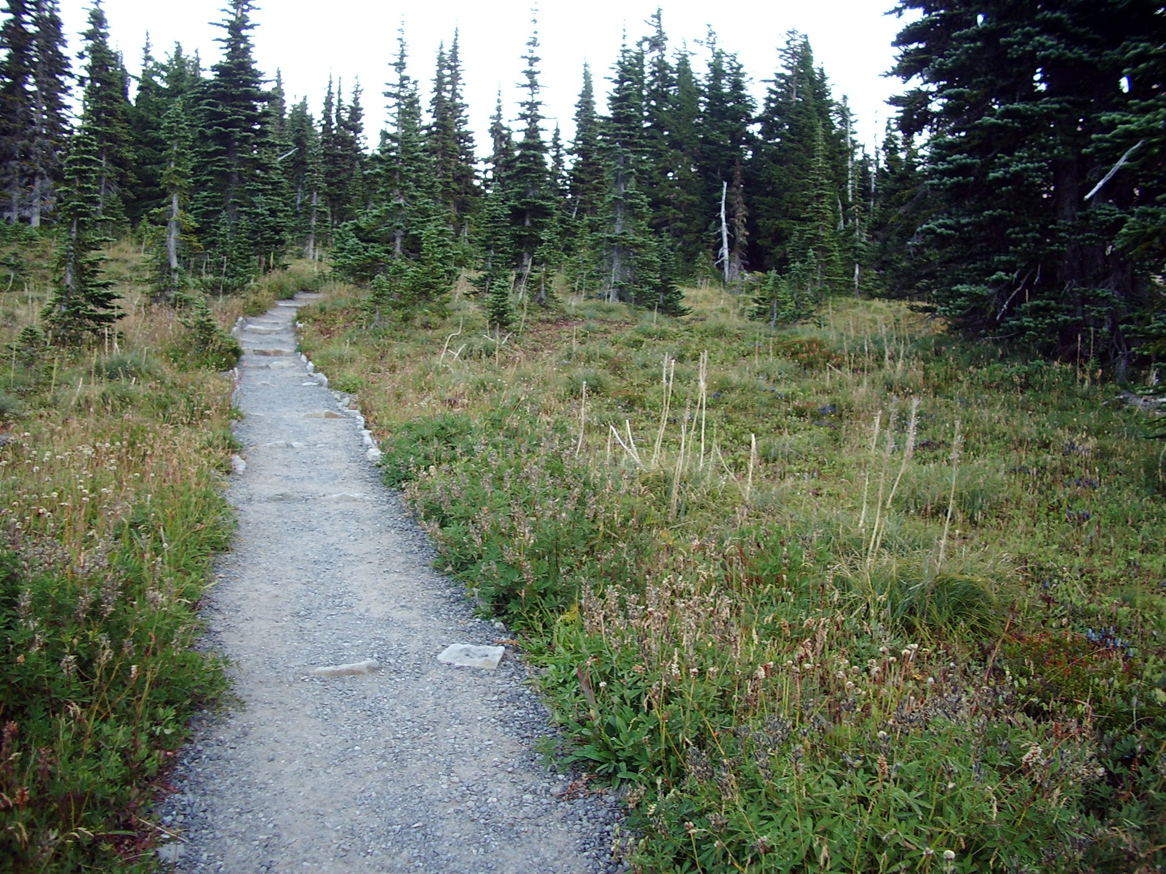 Mowich Lake to Spray Park Trail August