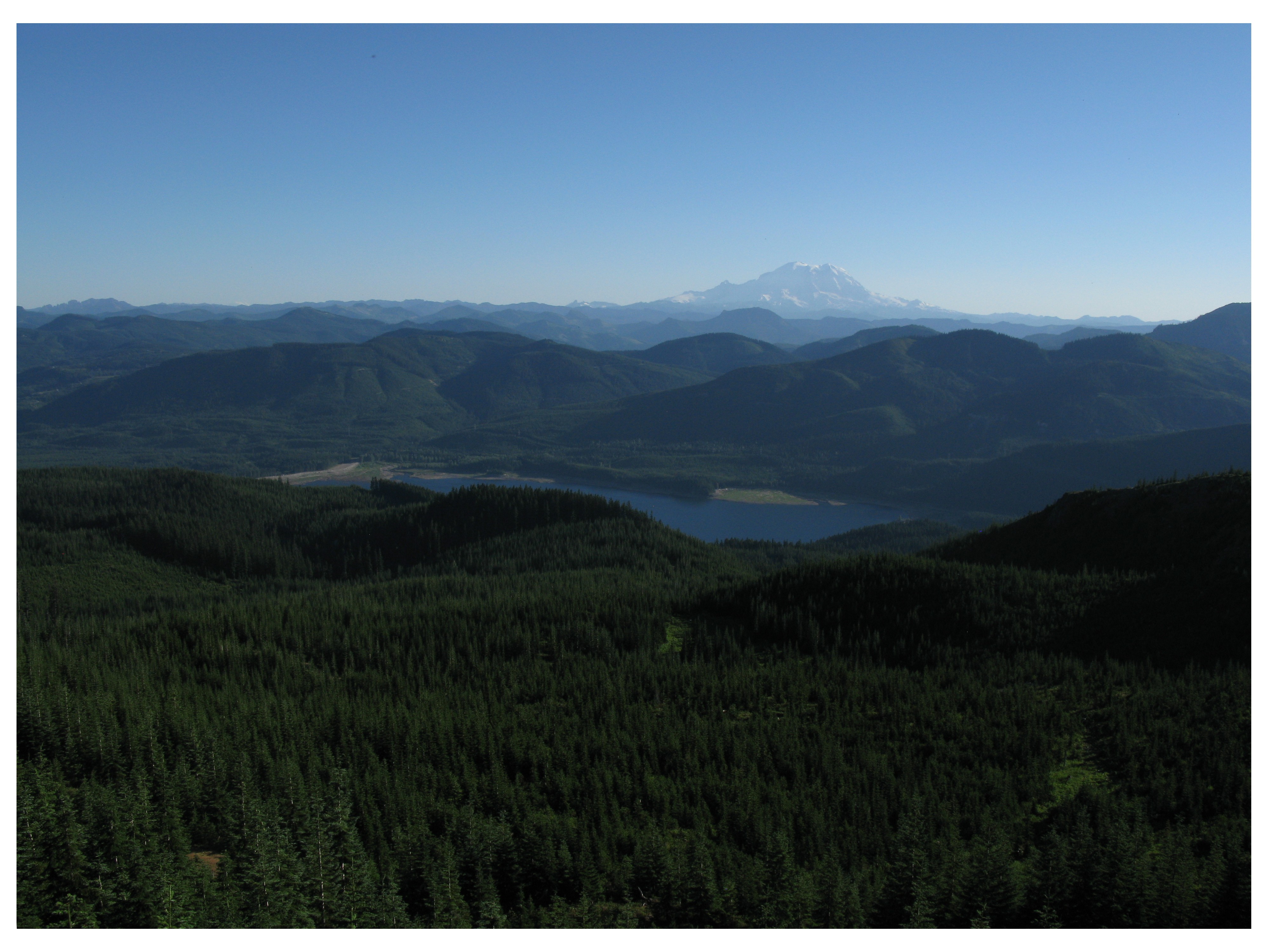 Mt Rainier from geocache wonkatania