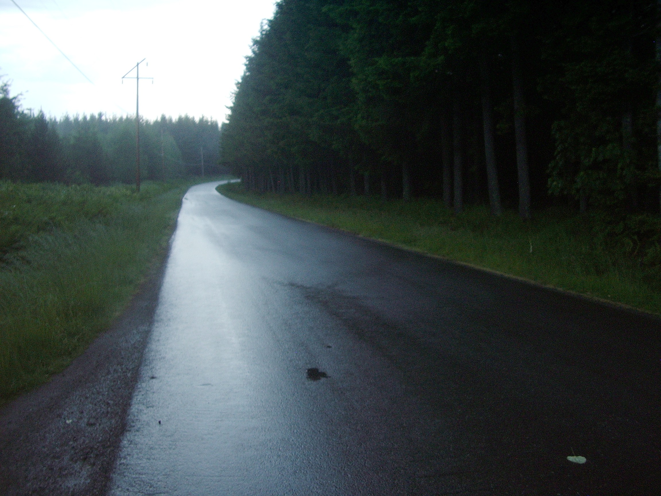 Mud Mountain Dam road after thundershower hike
