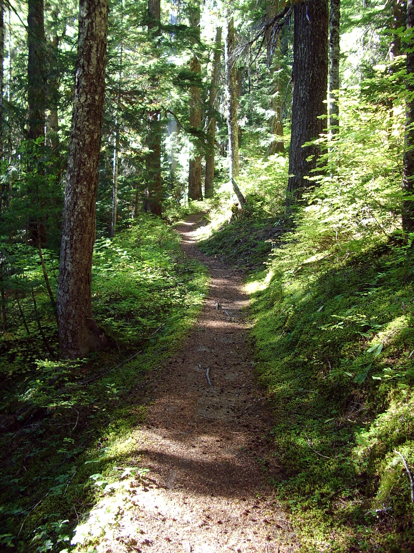 Owyhigh Lakes Trail September