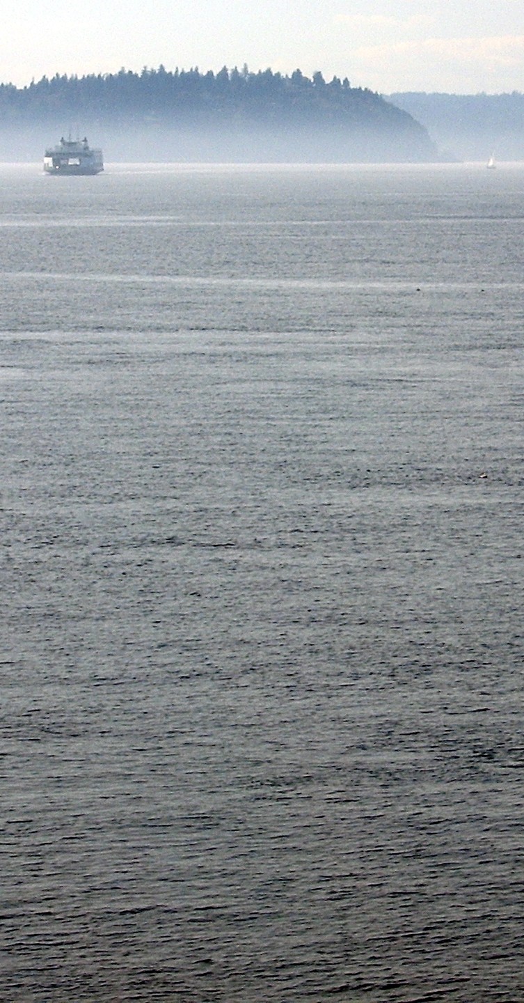 Puget Sound from Fauntleroy Ferry