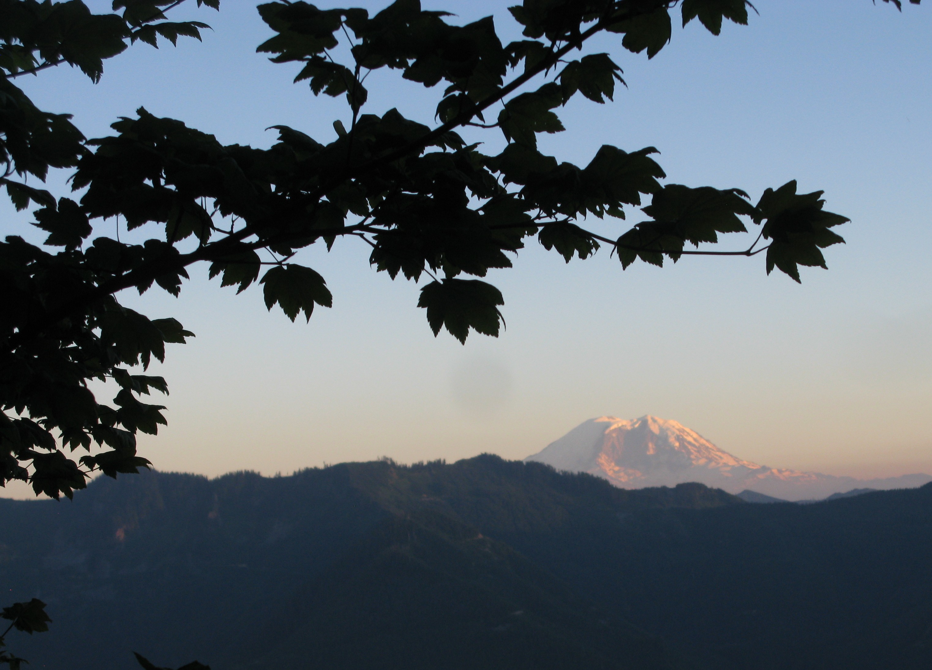 Rainier from new Mailbox Peak Trail