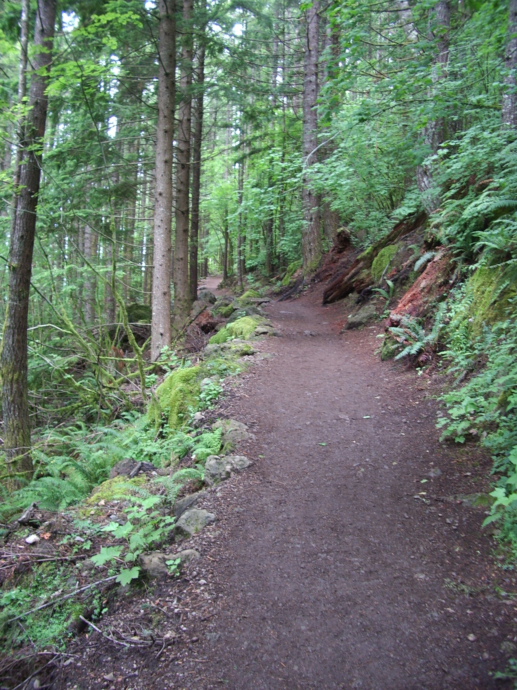 Rattlesnake Ledge Trail