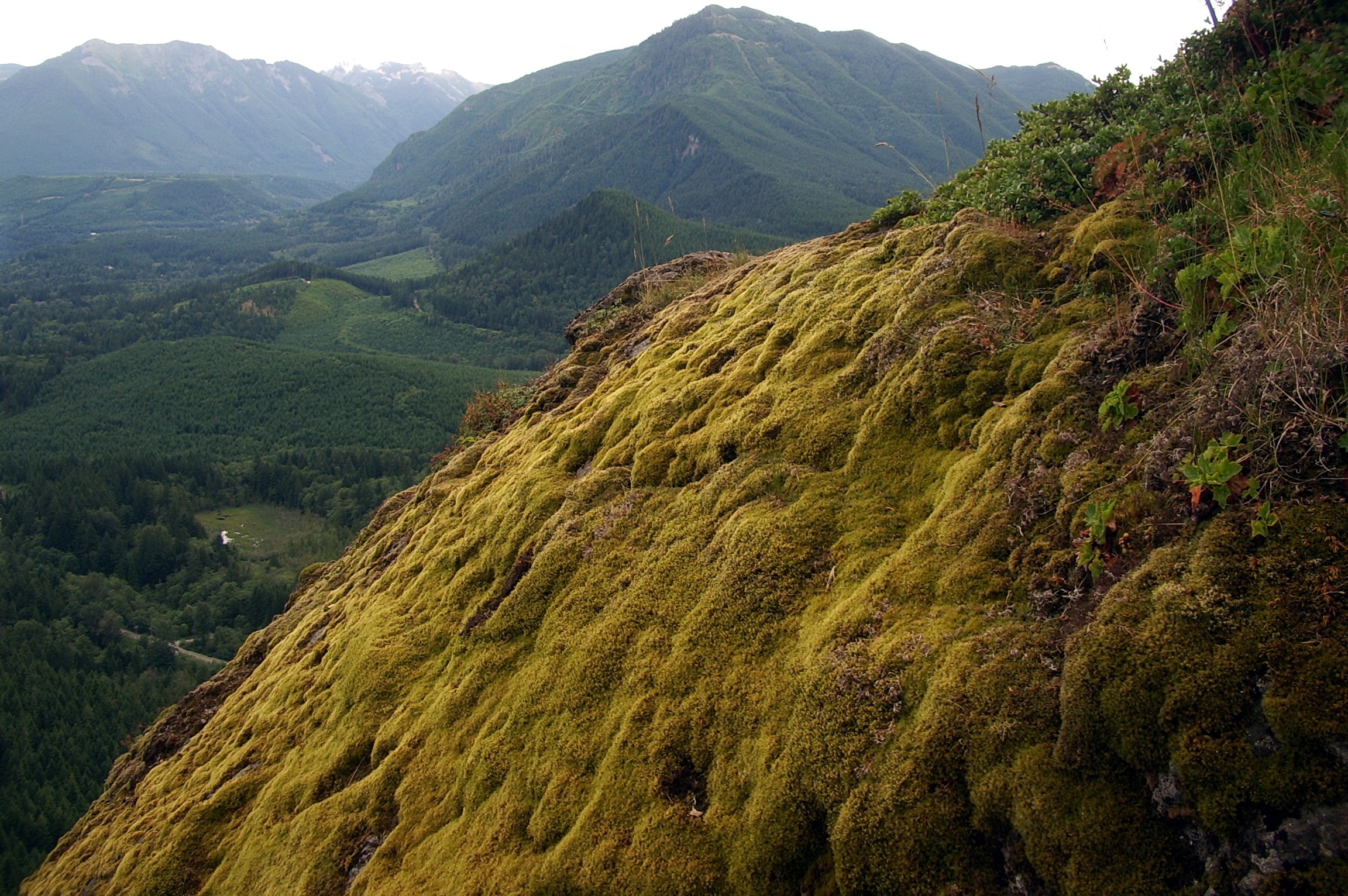 Rattlesnake Ledge Trail