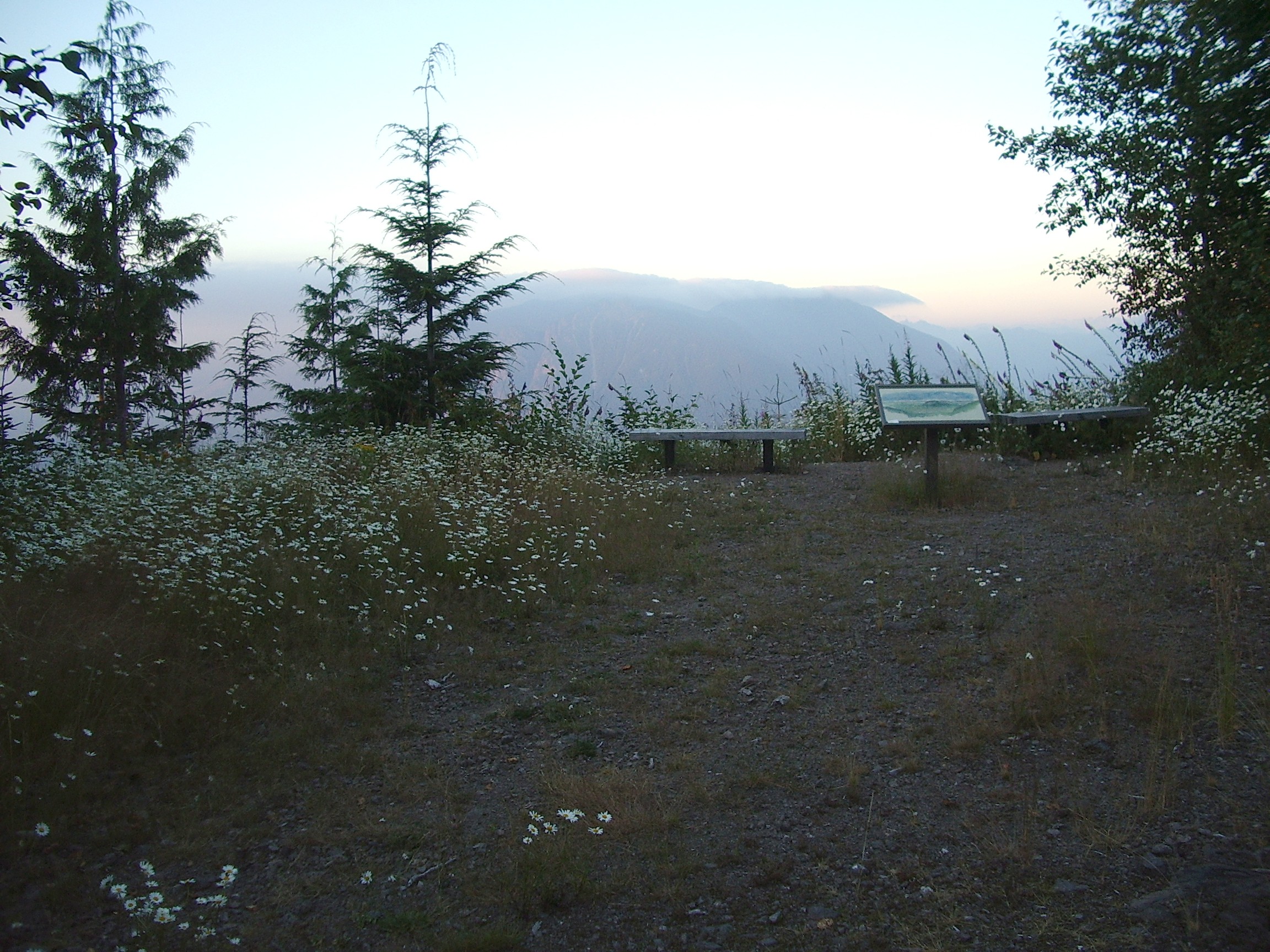 Rattlesnake Mountain trail August
