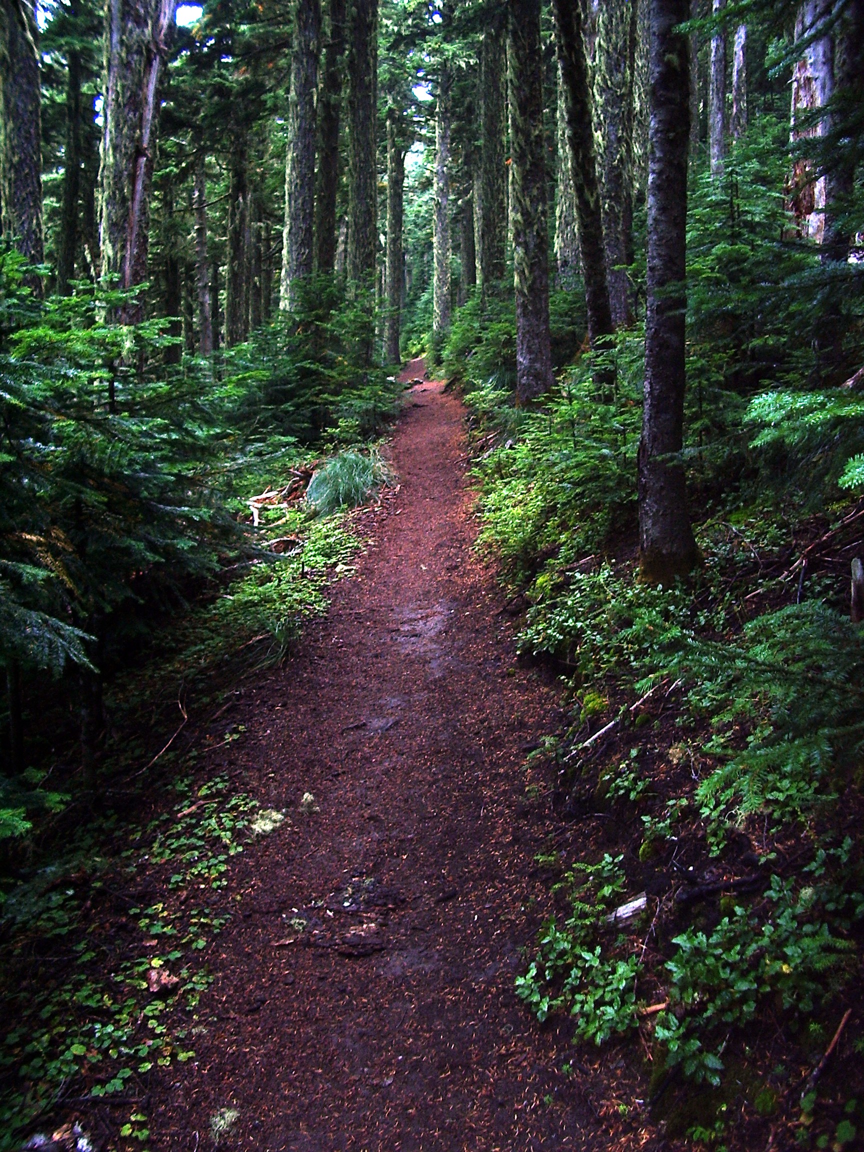 Summit Lake Trail September