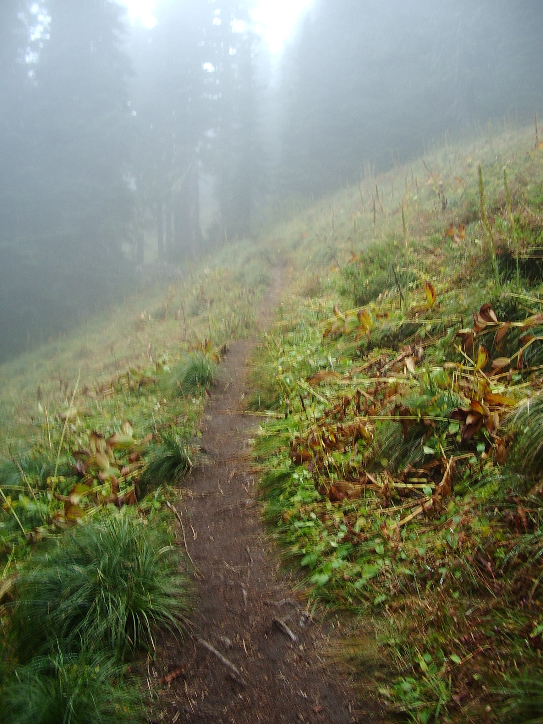 Summit Lake Trail September