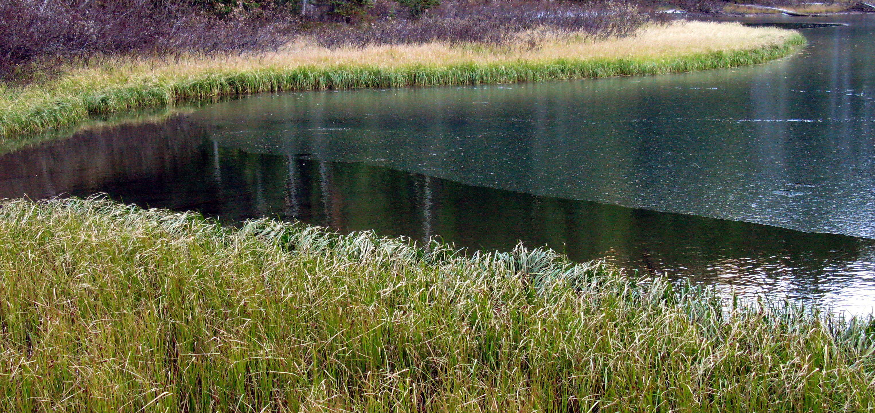 Upper Crystal Lake shore