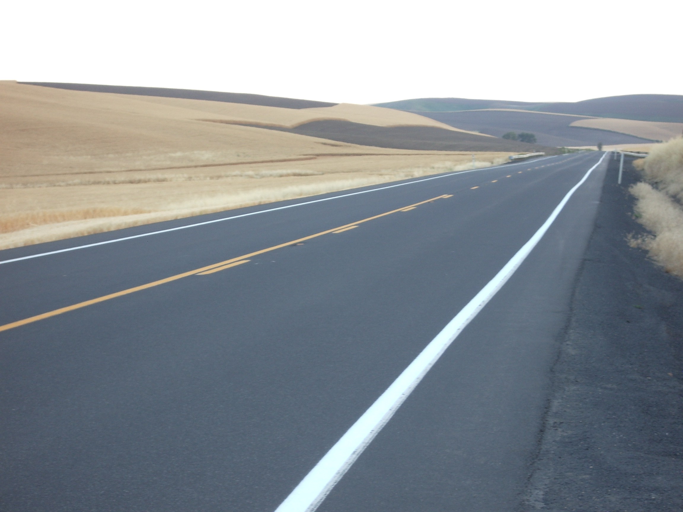 eastern washington highway and wheat field