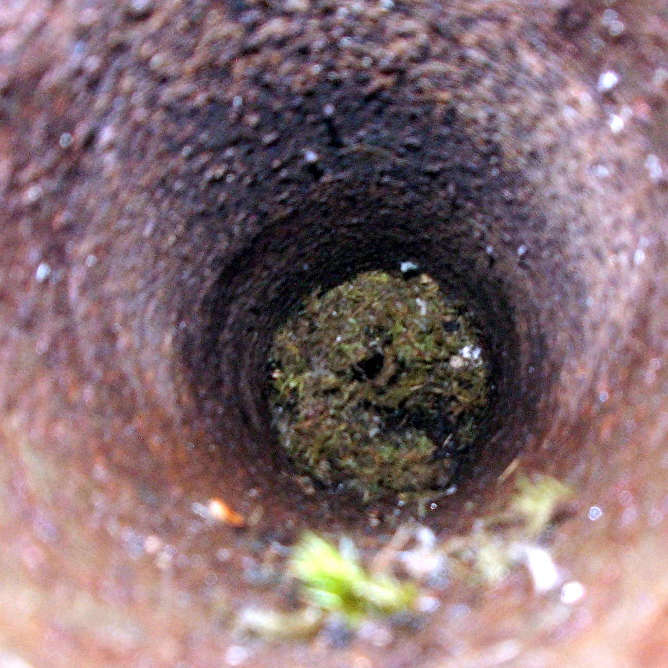 flash in a pipe