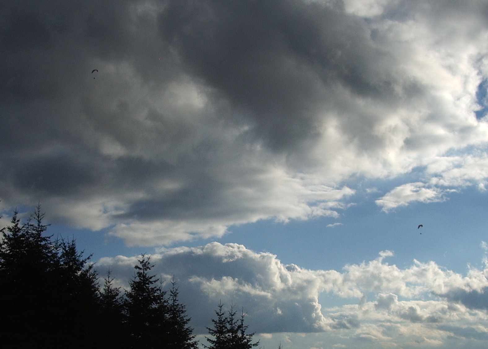 flyers from Poo Poo Point