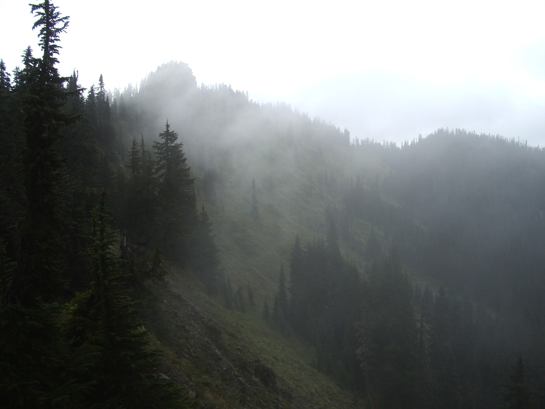 mirror lake fog pct