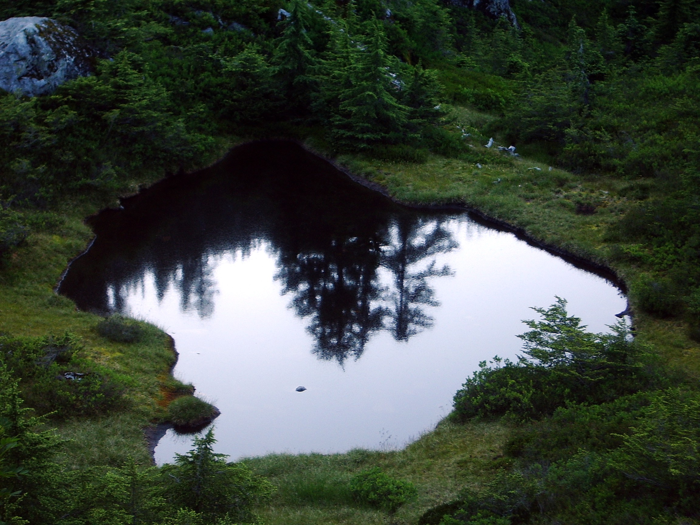 pond above Snow Lake