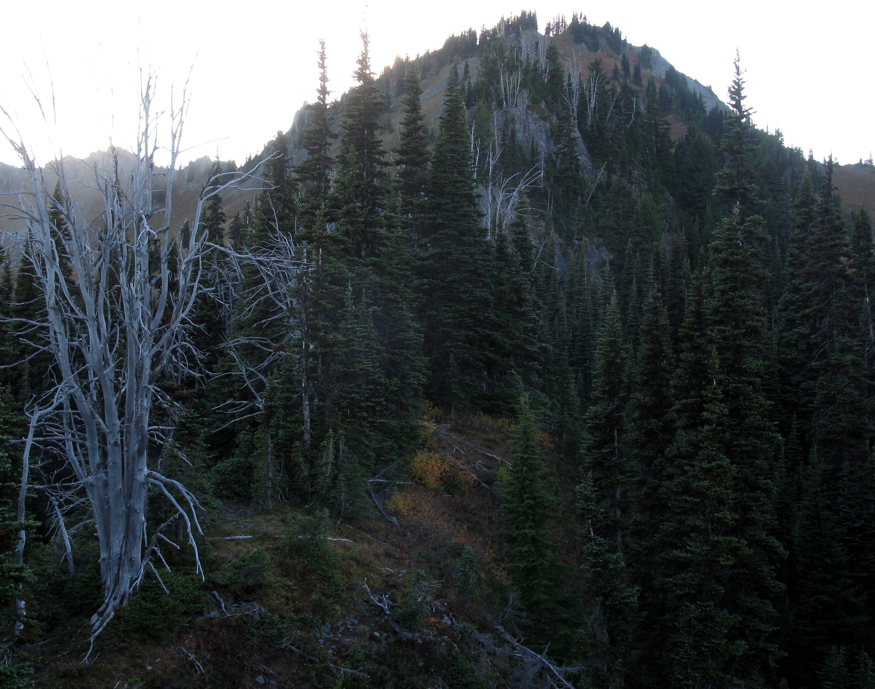 ridge above Clover Lake